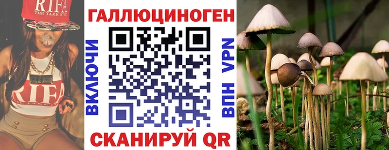 даркнет как зайти  где продают наркотики  Ермолино  Псилоцибиновые грибы Psilocybe 